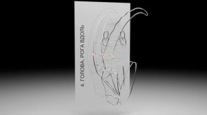 Оживим металл! Чертеж горного козла — 3D Wire Art