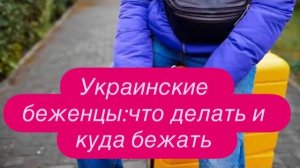 Украинские беженцы должны продать всё, чтобы получать пособия. #новости #беженцыизукраины