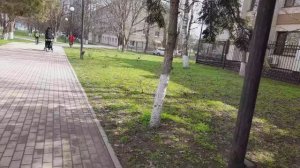 А был ли договор между крупным блогером и мелким?   24.03.2026