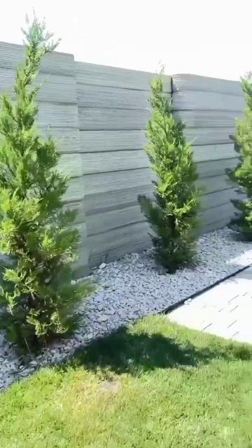 7D08C1ED-20AA-4BB9-B3F7-1292D16FE12E