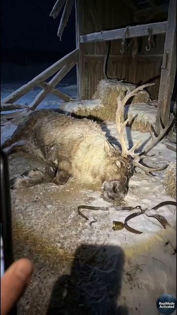 Видео от Арт в декрете