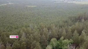 Защита лесов от пожаров. Совещание в Правительстве Самарской области