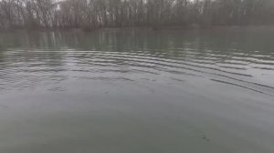 РЕЙД ПО БРАКОНЬЕРСКИМ СЕТЯМ ЧАСТЬ ВТОРАЯ