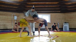 Сагаалган-2026, Санага. Часть 2