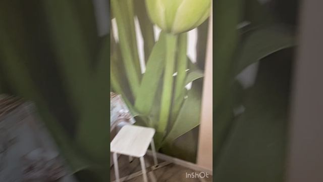 Аренда квартиры-Краснодар-Собственник