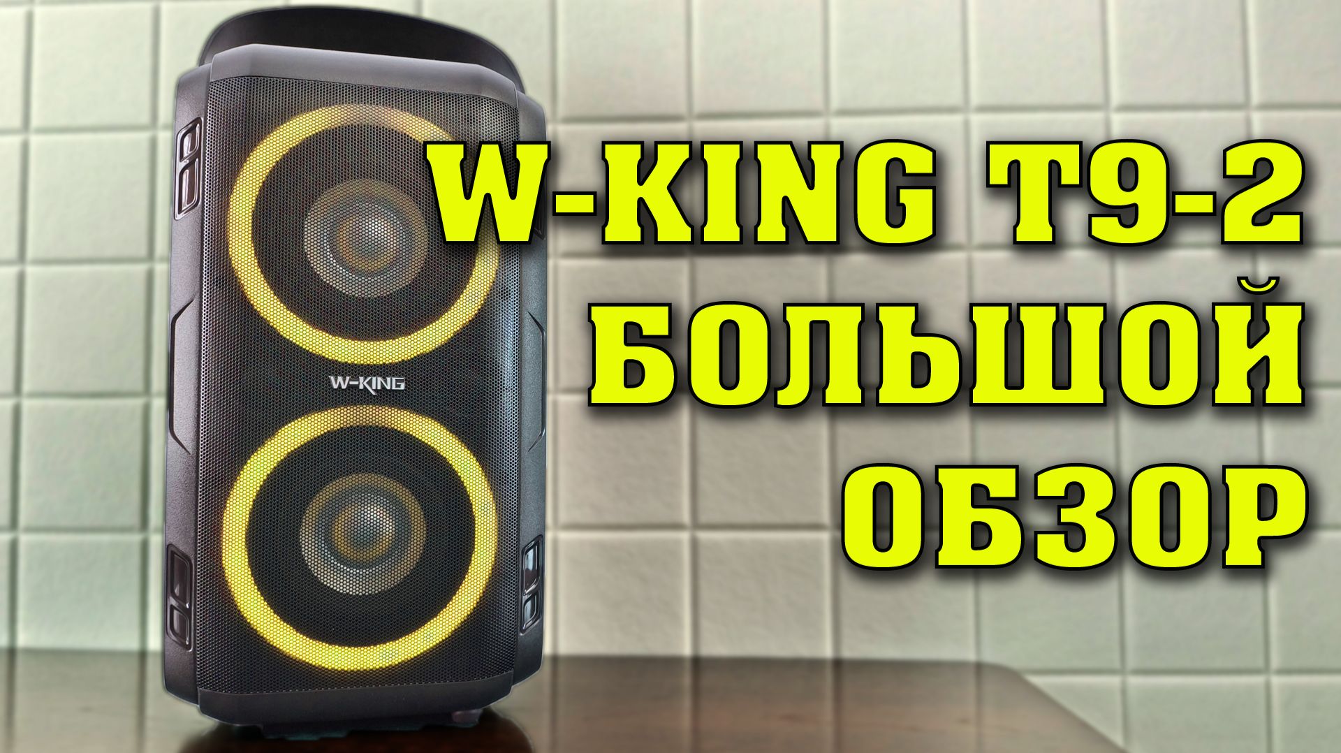 W-King Т9-2. Большой обзор. Достойная беспроводная колонка.