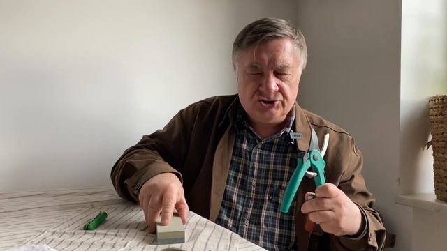 Учимся прививать с Андреем Тумановым. 1, 2, 3 уроки