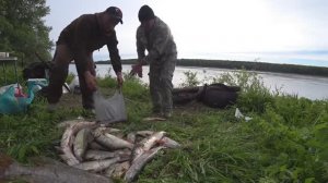 ОБРЫВЫ,СХОДЫ,МОЩНЫЕ ПОКЛЁВКИ на РЕЗИНКУ СУДАКА и ЩУКи весной