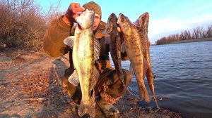 Удар - И ОНО СОГНУЛО!! РЫБАЛКА НА СПИННИНГ ВЕСНОЙ - СУДАК НА ДЖИГ 2026