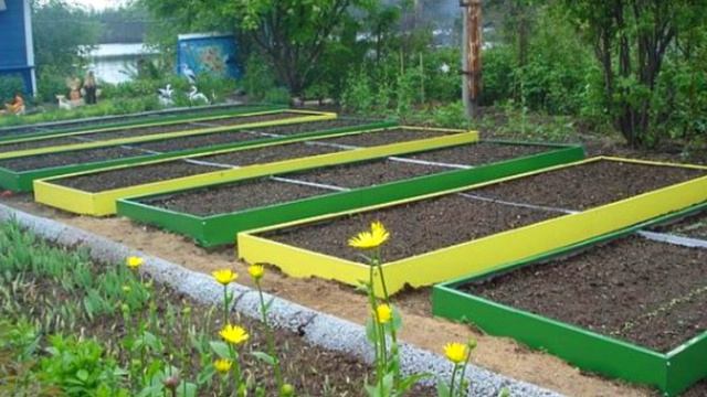 Дачные премудрости ! (1)