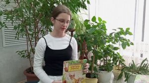 Детская библиотека им.А.Ф.Палашенкова