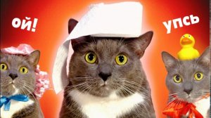 Kotiynet — 3 сезон, 39 серия. | 16+