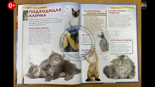 Наши пушистые любимцы. («Простоквашинские чтения» )