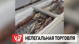 ОПЕРАТИВНИКИ ПОД ВОЛГОГРАДОМ ОСТАНОВИЛИ НЕЛЕГАЛЬНУЮ ТОРГОВЛЮ РЫБОЙ