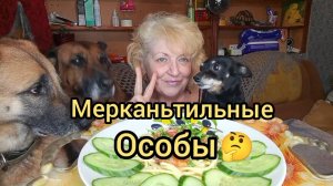 Мукбанг ПРОБУЮ Лося!Лавочка В этой Помойке ЗАКРЫЛАСЬ!