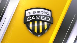 Секция самбо