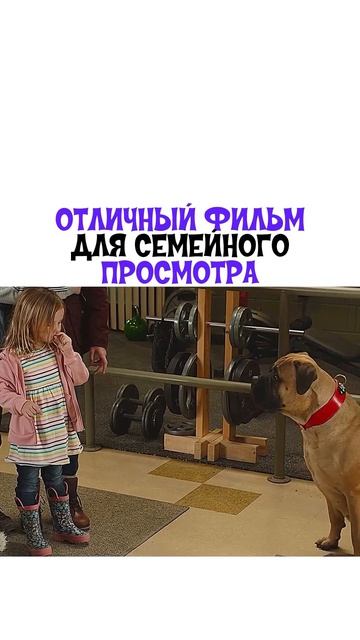 🍿Фильм «Игры с огнём» (2019)🎞️Смотрели фильм? #комедия #фильм #reels #кино #film #rek #video #топ