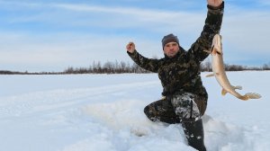 РЫБАЛКА НА ЖЕРЛИЦЫ. ГОТОВЛЮ УЖИН ИЗ СВЕЖЕЙ ЩУКИ. ТОПЛЮ ПЕЧЬ В ИЗБЕ.