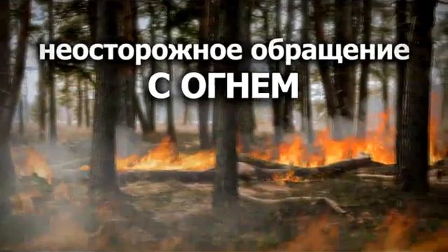 Главная причина природных пожаров неосторожное обращение с огнем смотреть онлайн