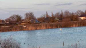 ❤️Пришлось сбавить обороты/ В селе на юге жаркая пора