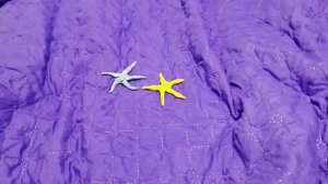 рыбы Тихого океана пластилиновые