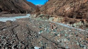 Монгун-тайга. Тревел 17