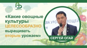 Какие овощные культуры целесообразно выращивать вторым урожаем | Сергей Огай