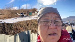 Живу в развалюхе Звери хотят внимания