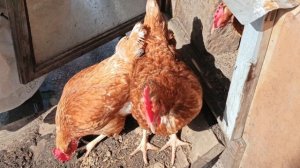 Наконец-то у нас весна..