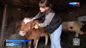 Благодаря соцконтракту жительница Старооскольского округа развивает ЛПХ