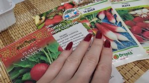 СЕЕМ РЕДИС НА РАННИЙ УРОЖАЙ