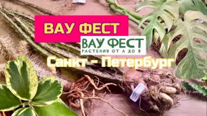 Вау Фест фестиваль растений весна 26. WowFest Санкт-Петербург обзор