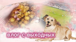 Влог с выходных! Ездили на футбол? Добыли янтарь?