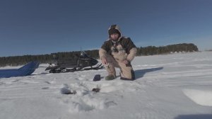 Мы их нашли.Два дня холостых рыбалок...И вот они..