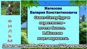 Санкт-Петербург и окрестности - почти болото. В.Железов ищет варианты.
