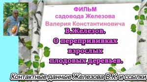 В.Железов. О перепрививках взрослых плодовых деревьев.