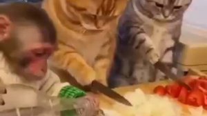 ИИ накрываем поляну 🤪