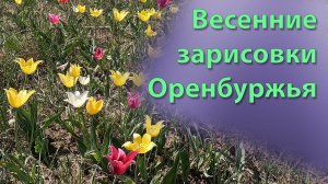 Весенние зарисовки Оренбуржья