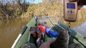 🔺️🎣ОКУНЬ ЗАВЕС🎣🔺️fishing#туризм#природа#ловля#рыбалка#щука#ловлящуки#ночевка#Чулым#река#спиннинг