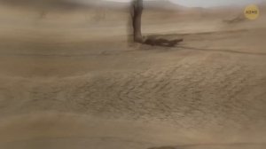 Ученые заявляют, что климат Амазонки возвращается к древнему состоянию