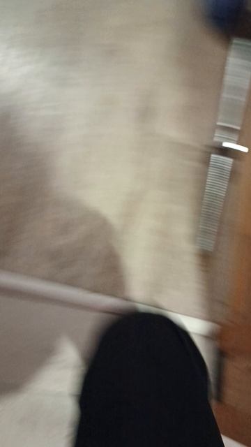 Сборы в поездку.