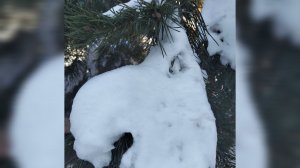 Ремейк. Ода зиме.