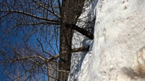 тренировка 21марта