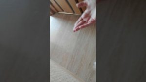 VID_20260324_133713.mp4