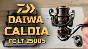 Обзор Daiwa Caldia 21 FC LT 2500S - Распаковка, тюнинг и первые впечатления!