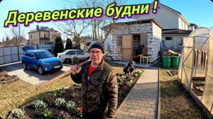 Сезон открыт, можно строить дом. Жизнь в деревне.