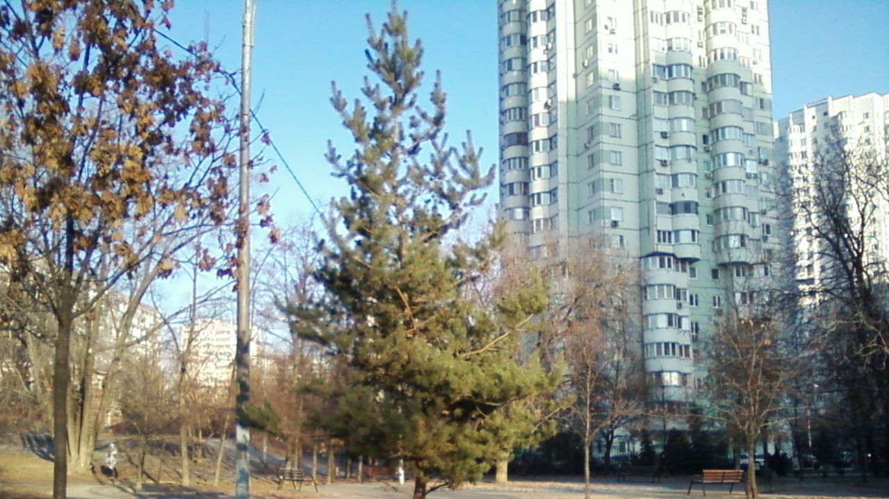 Каменный город - создано на сайте ТвойХит.рф (1), СТИХИ Е. Касаткиной.