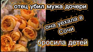 Нашего брата убил тесть А его жена уехала в Сочи с очередным новым мужем