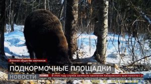 Подкормочные площадки. Новости. 24/03/2026. GuberniaTV