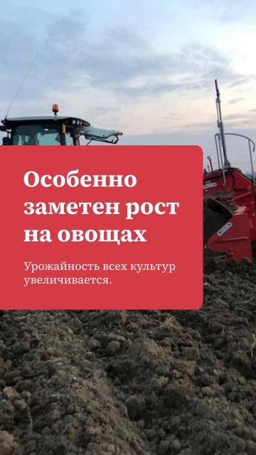 Rossetto: Технологические лидеры России.